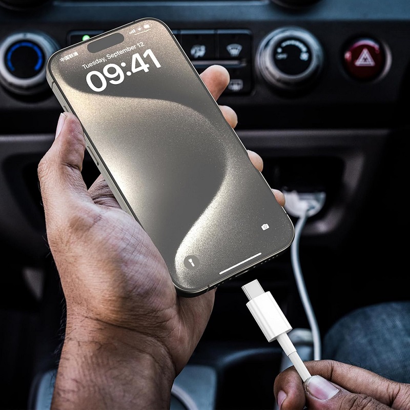 30W USB A to Type C ケーブル データ転送 - Photography Date のレビューと価格